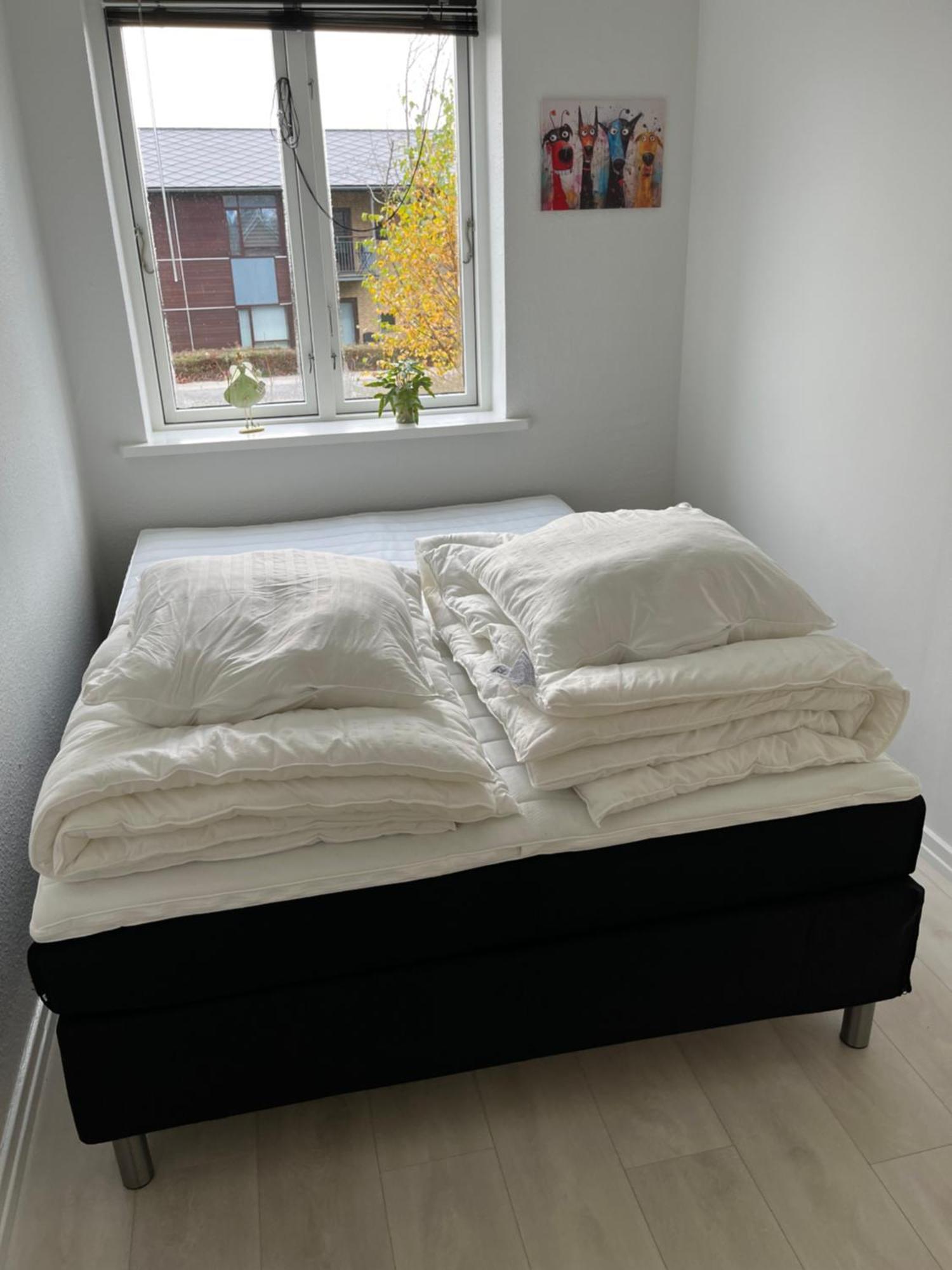 Apartment Casa Of Bricks 4 - Sleep Next To Lego House Billund