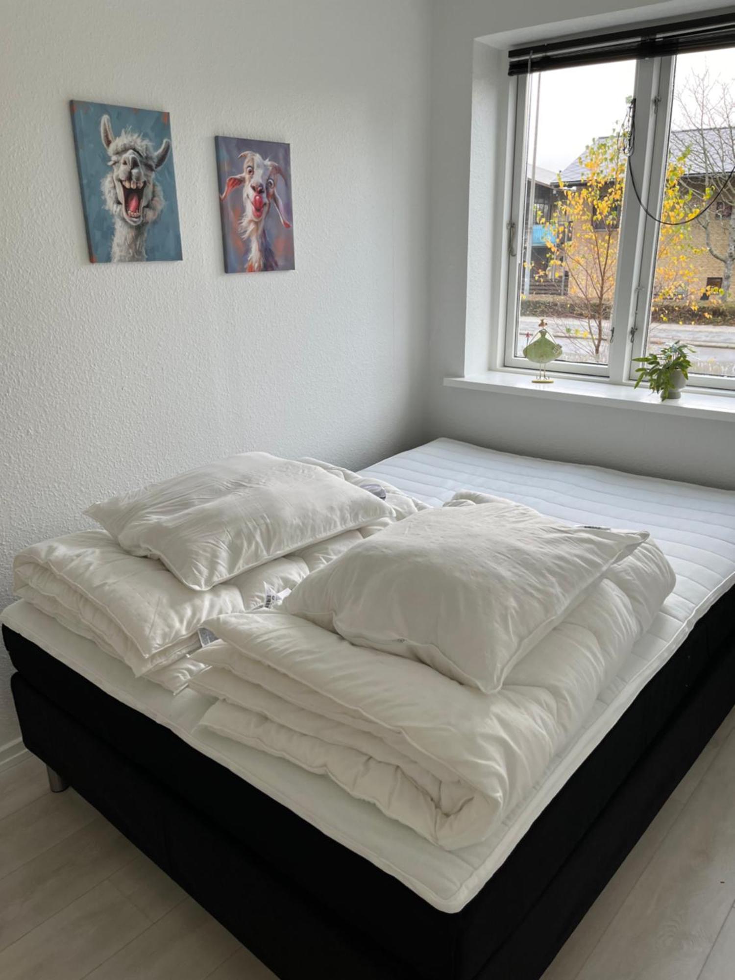 Casa Of Bricks 4 - Sleep Next To Lego House Lejlighed Billund